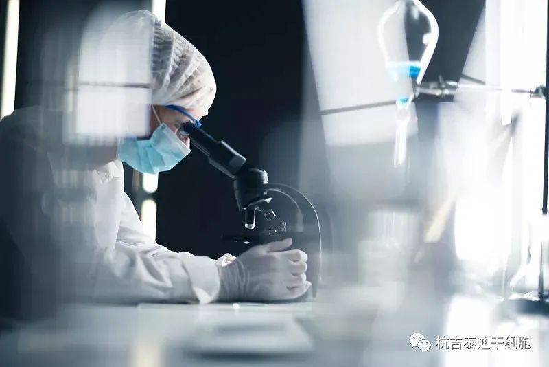 干細(xì)胞技術(shù)治療漸凍癥的潛在挑戰(zhàn) 不良反應(yīng)、費(fèi)用與未來展望