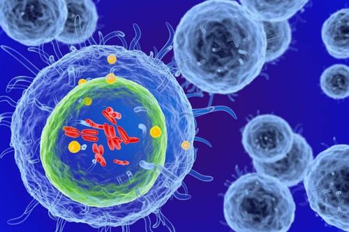 細(xì)胞治療 以生命修復(fù)生命，干細(xì)胞技術(shù)引領(lǐng)現(xiàn)代醫(yī)學(xué)革命